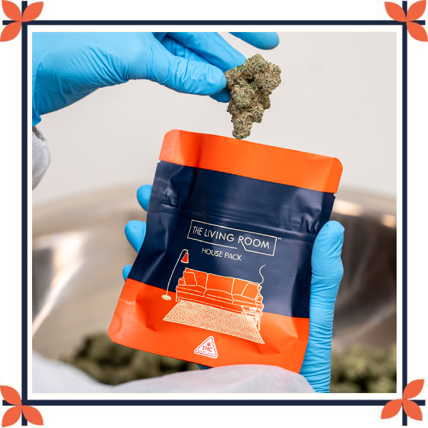 A close-up of a person wearing blue nitrile gloves holding a green cannabis bud above an open mylar bag. The branded pouch features a navy blue center with bright orange sections at the top and bottom. It displays a white line-art illustration of a sofa, rug, and lamp, with the text "THE LIVING ROOM" and "HOUSE PACK." A large metal bowl filled with cannabis is blurred in the background.
